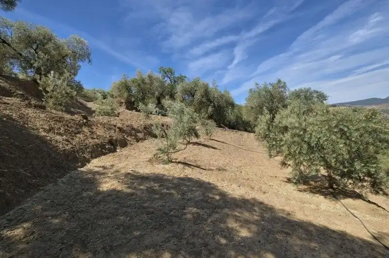 Terreno rustico in vendita a Travesia Jose Mariano Vallejo 4, imagen 13