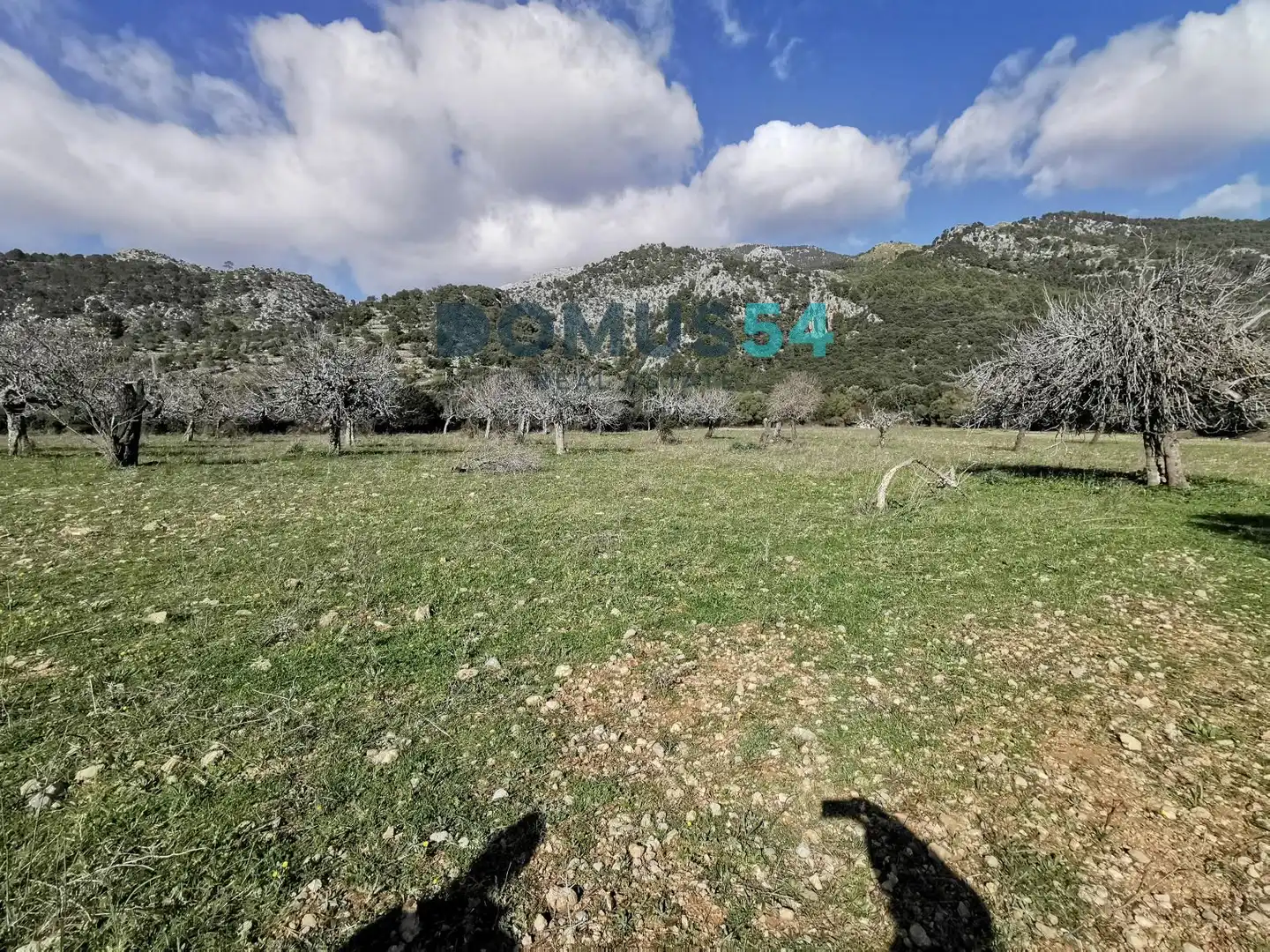 Casa rústica en venta en Alaró, imagen 17