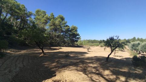 Finca rústica con maset en Valderrobres, immagine 5