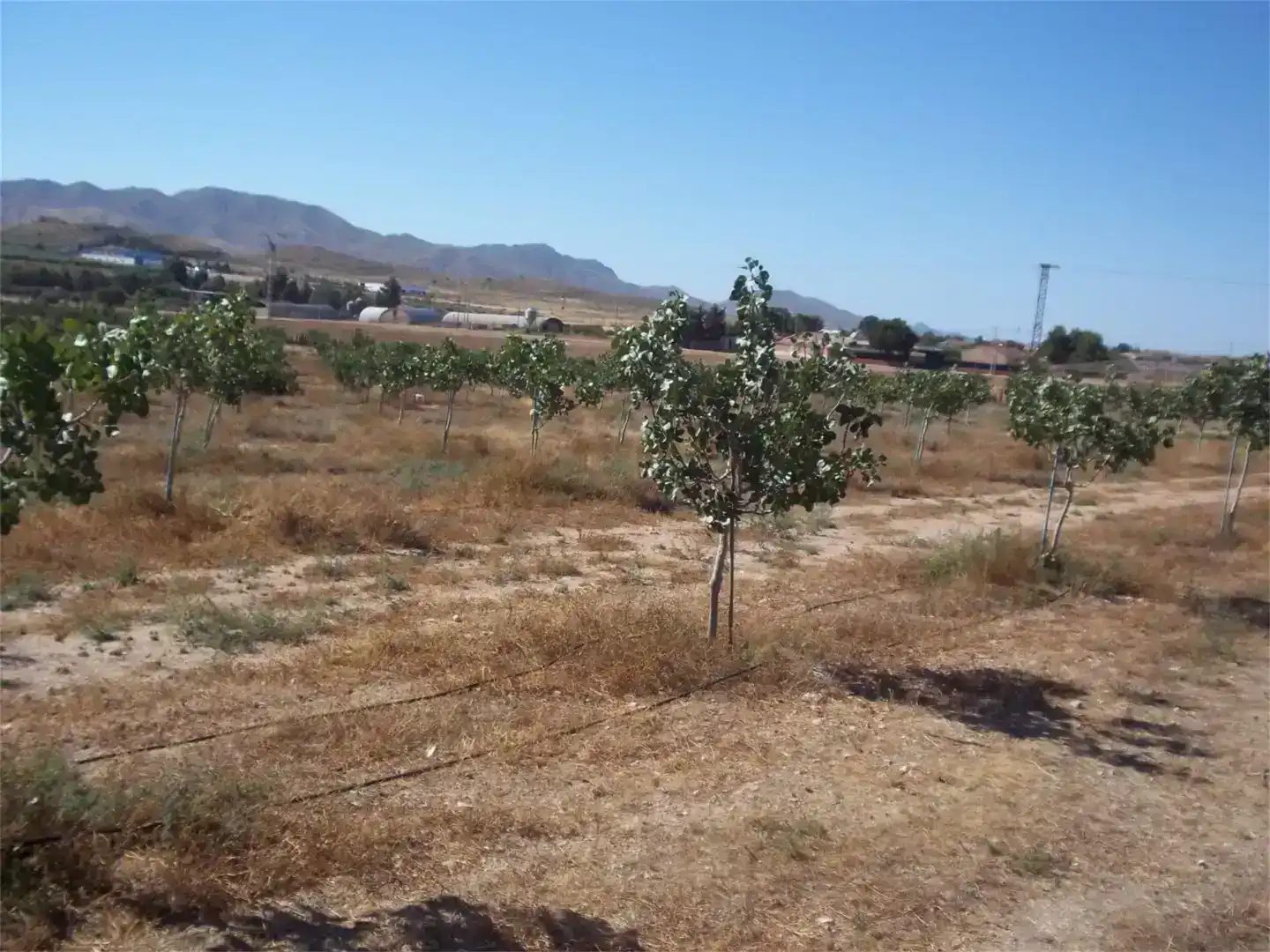 Casa o chalet en venta en Lorca con Aire acondicionado