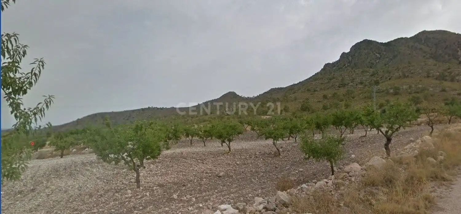Land for sale in Diseminado, 1, Aledo