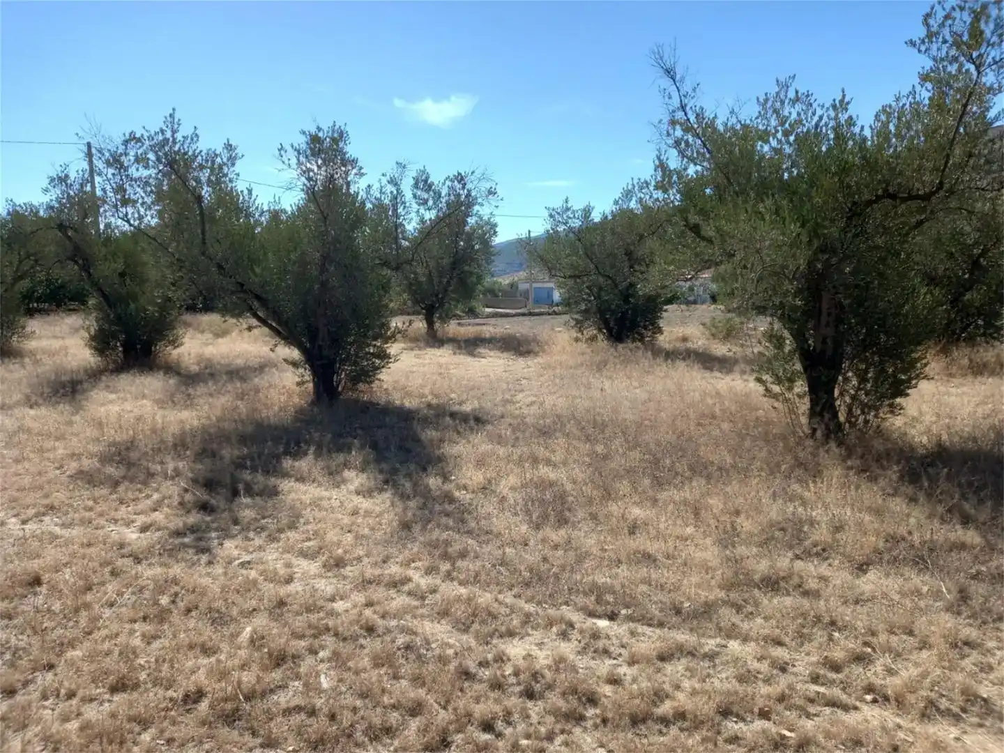Terreno en venta en Las Tres Villas, Almería