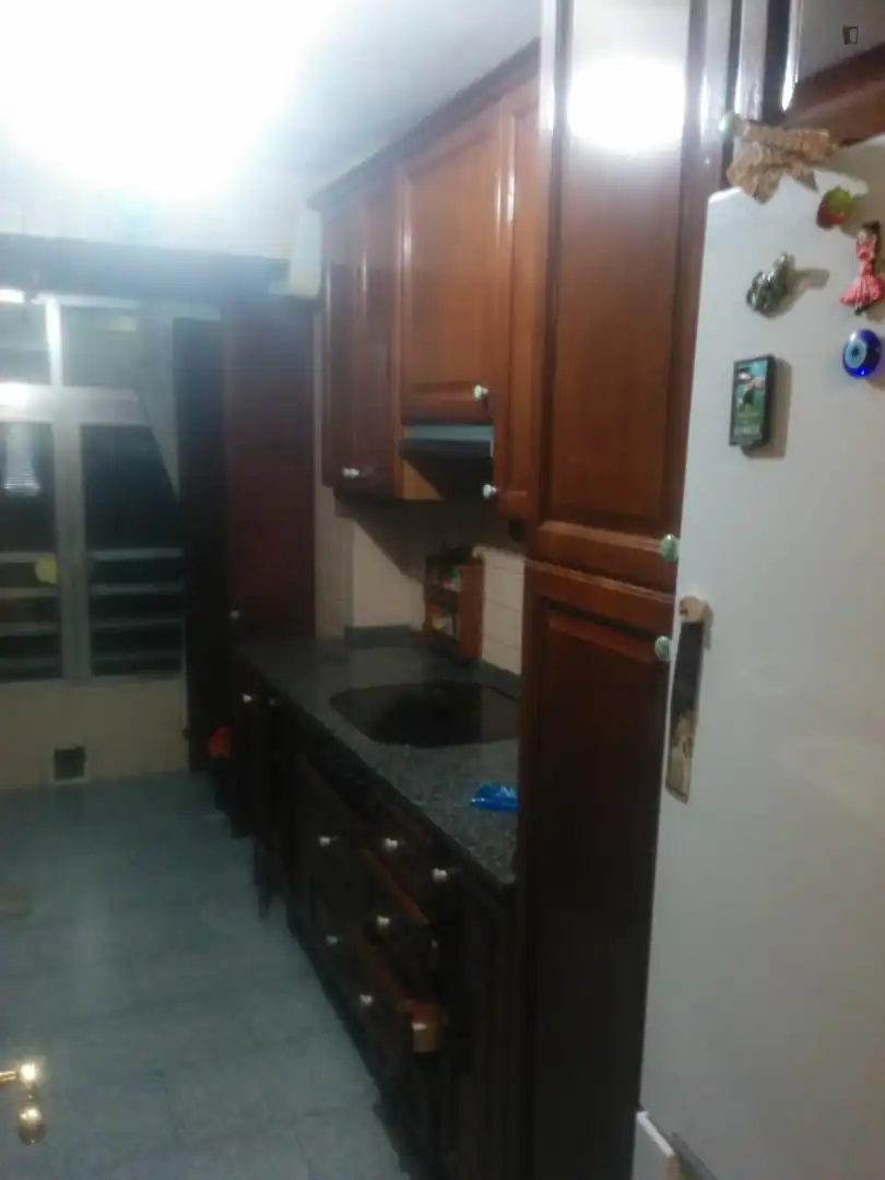 Kitchen of Apartments for share in Sevilla  with Furnished, Washing machine and Internet