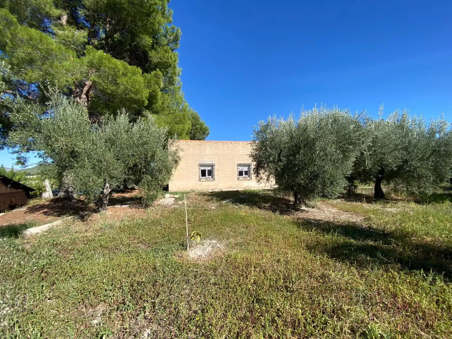 Terrain rustique à vendre à Moratalla, imagen 4