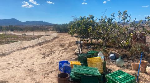Foto 2 de Terreny en venda a La Magdalena - Molinos Marfagones, Cartagena