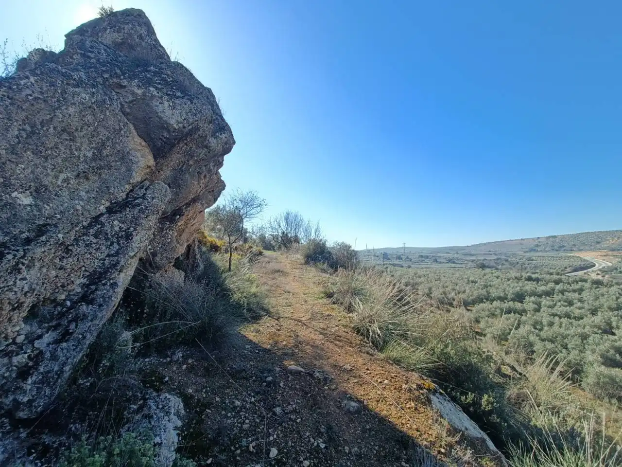 Terreni e lotti in vendita a Moraleda de Zafayona, imagen 19
