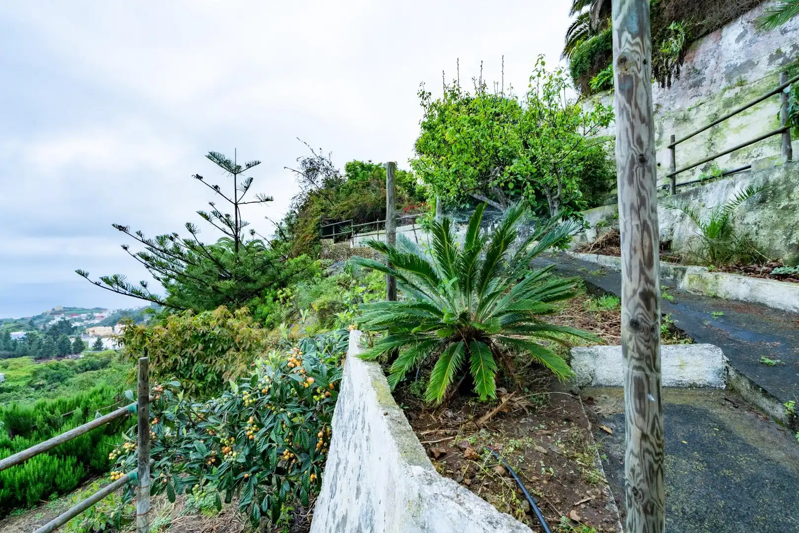 Jardí de Finca rústica en venda en Icod de los Vinos amb Terrassa