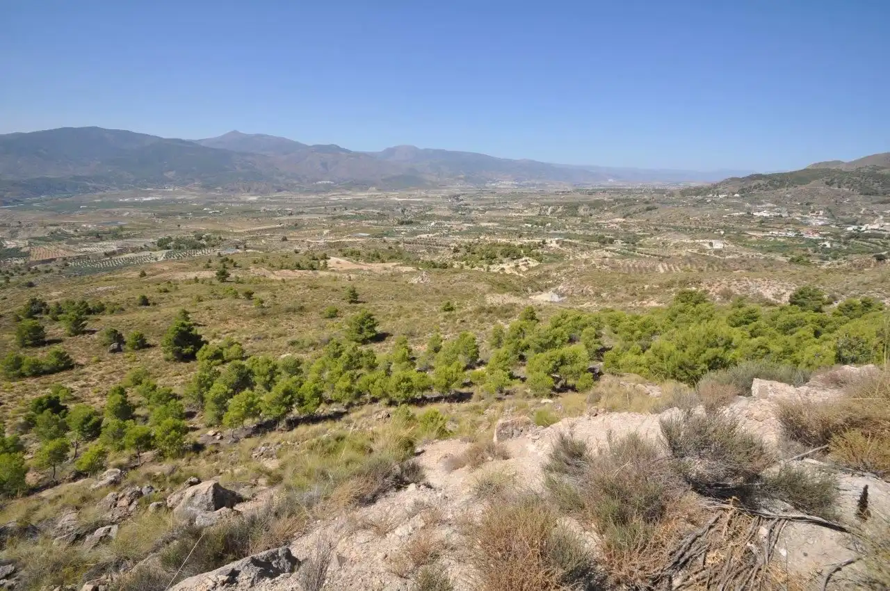 Grundstücke zum Verkauf in Urrácal