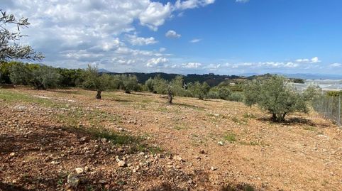Foto 5 de Terreny en venda a Centro, Alhaurín El Grande