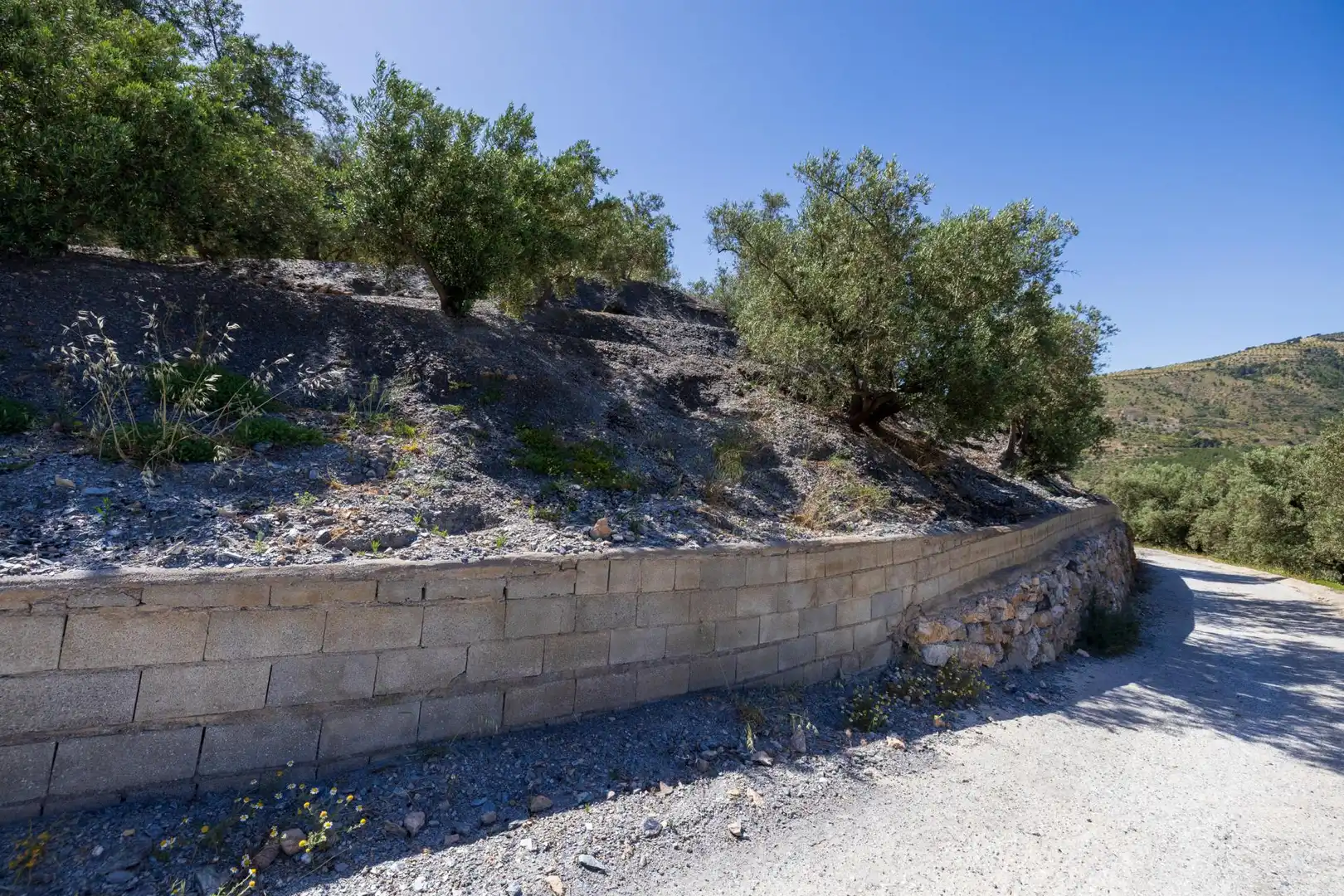 Rustikales Grundstück zum Verkauf in POLIGONO 20 PARCELA 90, imagen 31