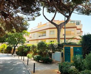 Flat for sale in Calle Carril del Relojero, 2, Romana Playa