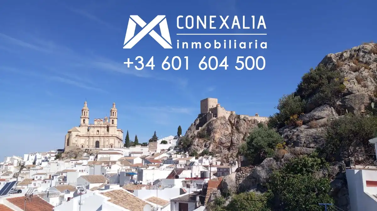Vista exterior de Casa o chalet en venta en Olvera con Terraza y Balcón