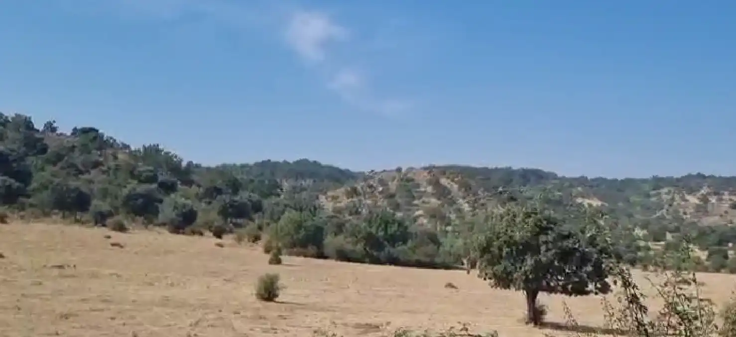 Land for sale in Camino a Puebla de Azaba, 35, Casillas de Flores