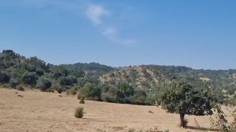 Foto 4 de Terreny en venda a Camino a Puebla de Azaba, 35, Casillas de Flores, Salamanca