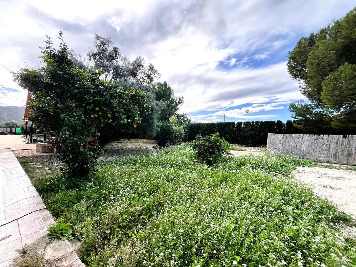 Casa o xalet en venda a Carretera de la Matanza, 11, Benferri