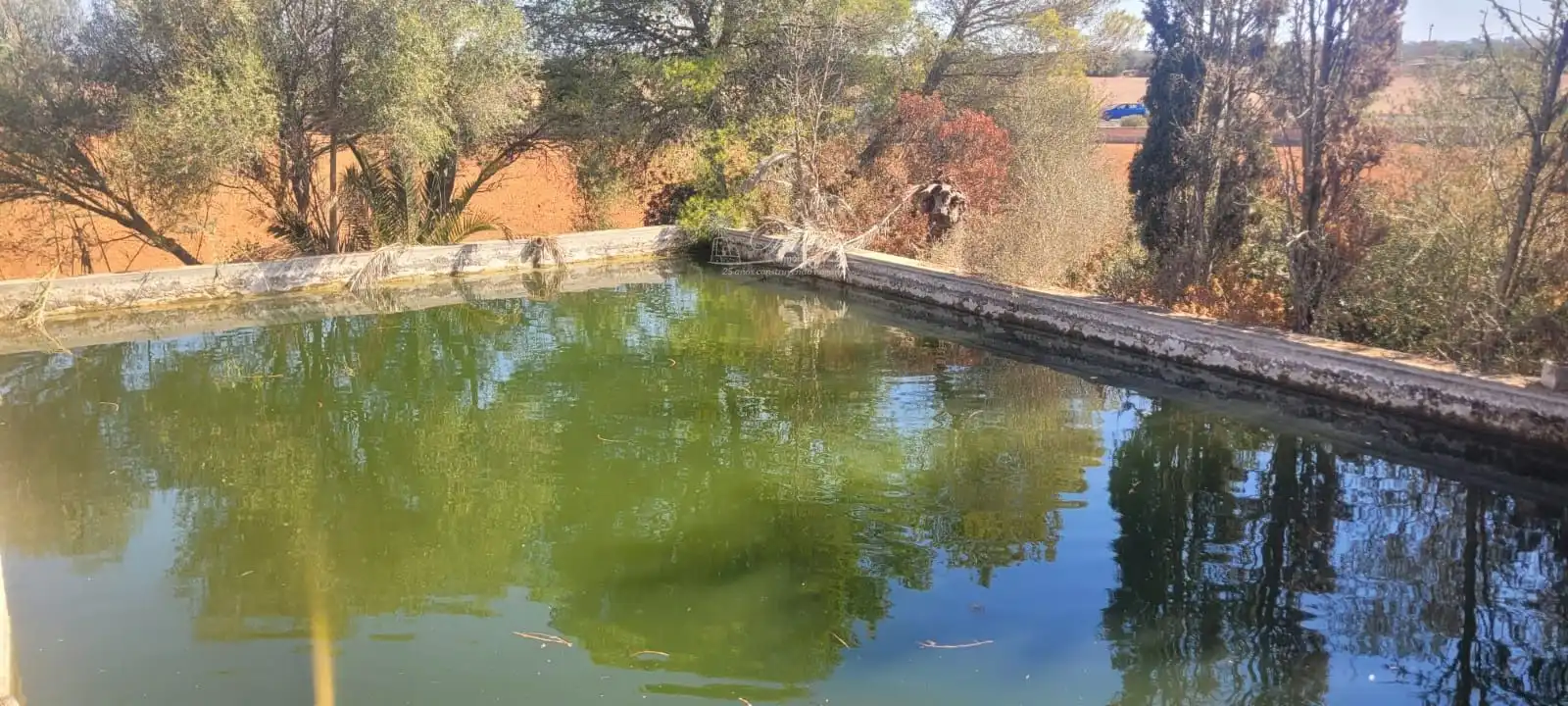 Piscina de Casa adosada en venta en Campos con Trastero y Piscina