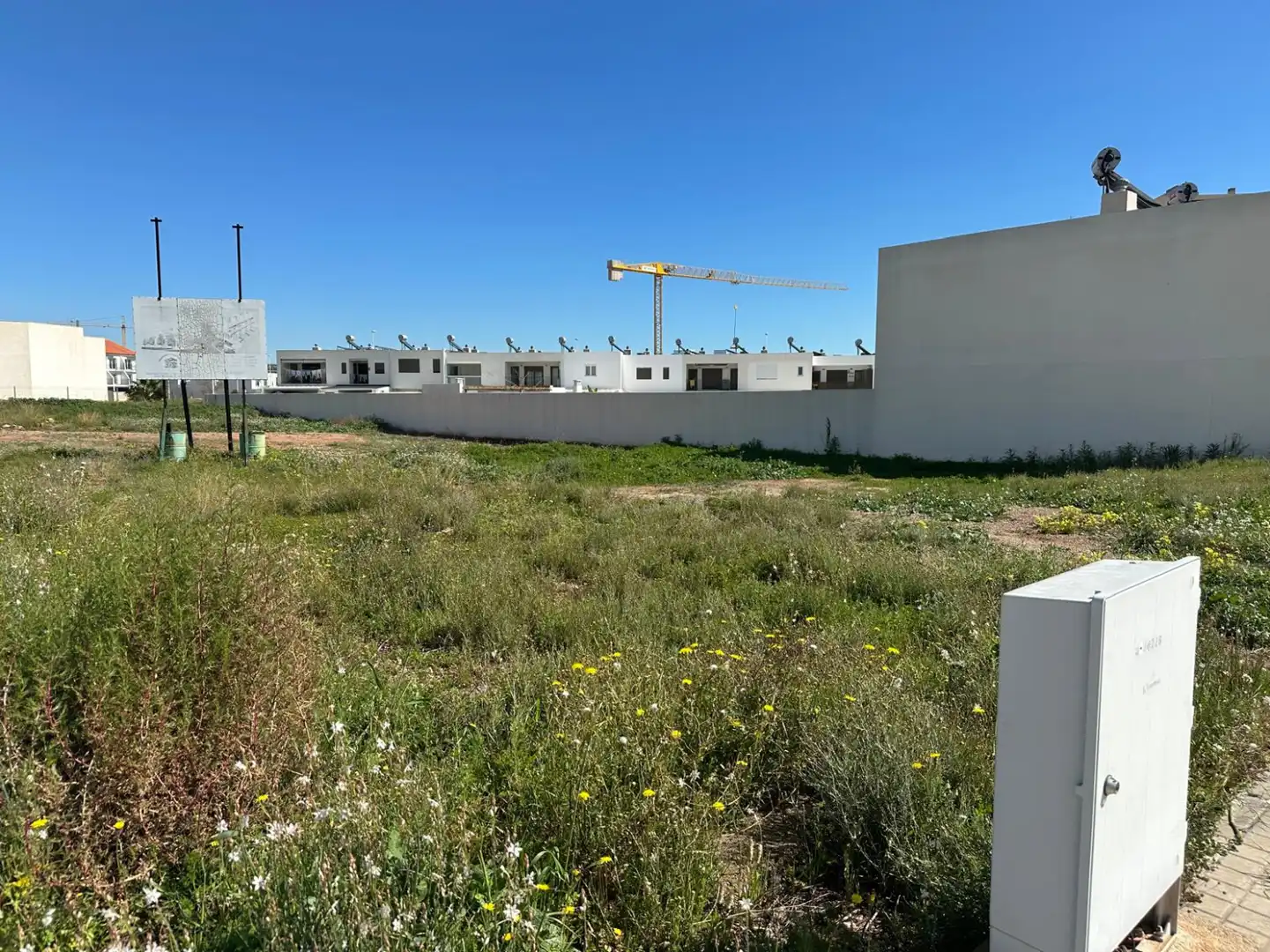 Rural land for sale in Sagunto ciudad, imagen 3