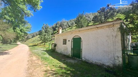 Foto 3 de Finca rústica en venda a Camino de la Ermita, 18, Las Navas de la Concepción, Sevilla