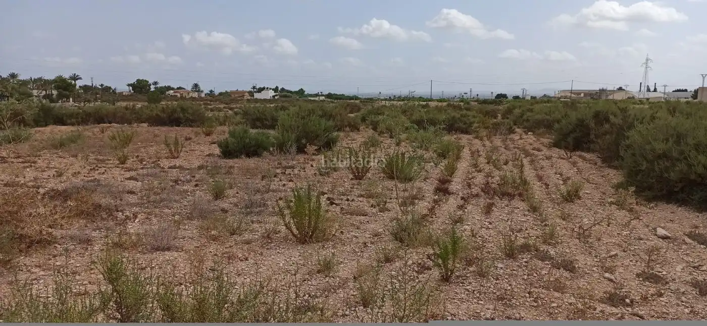 Industrial land for sale in Partida Portazgo 17a, imagen 7