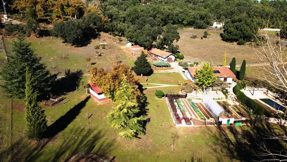 Jardín de Casa o chalet en venta en Cortelazor con Jardín privado, Terraza y Trastero