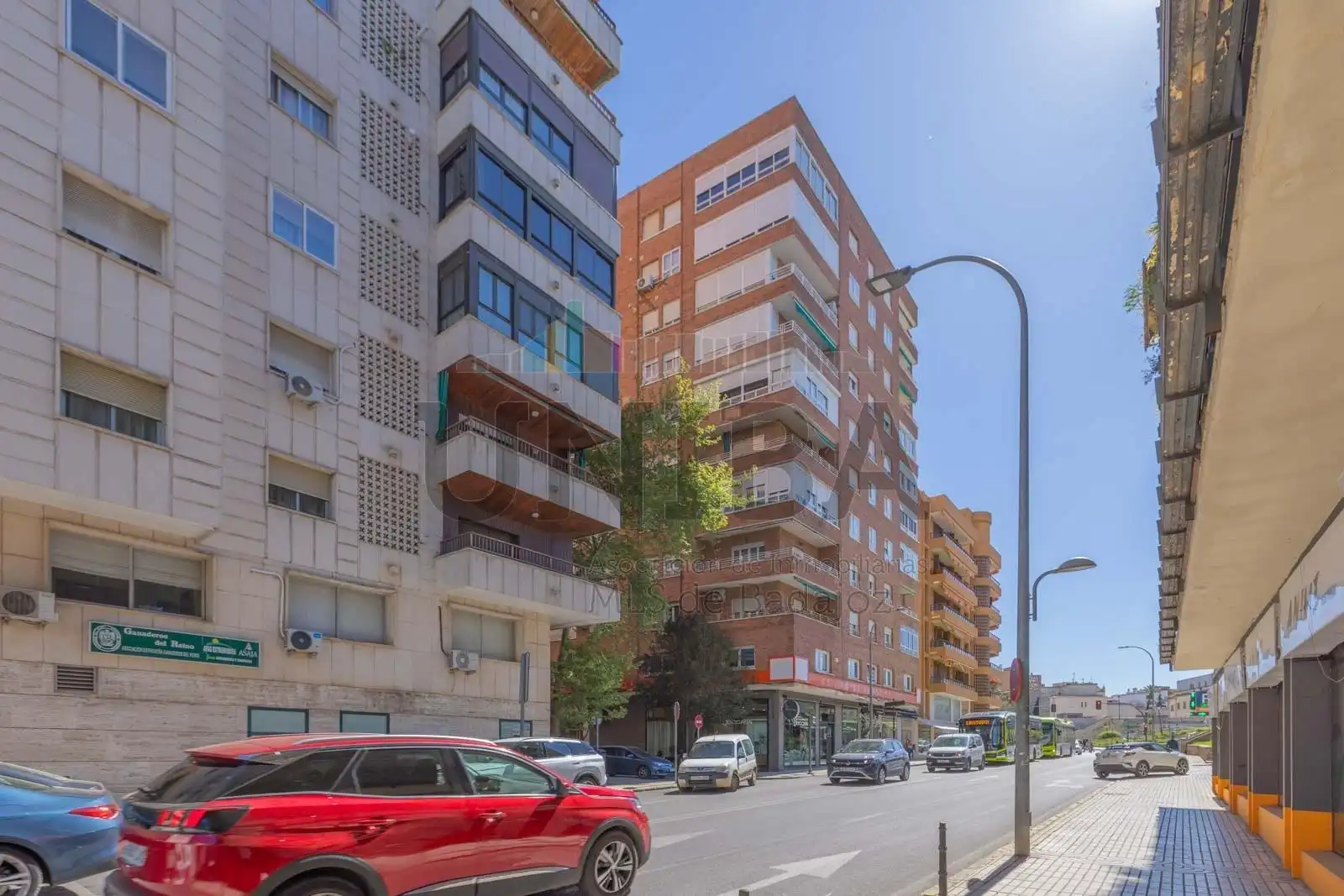 Piso con jardín en venta en Casco Antiguo, imagen 18