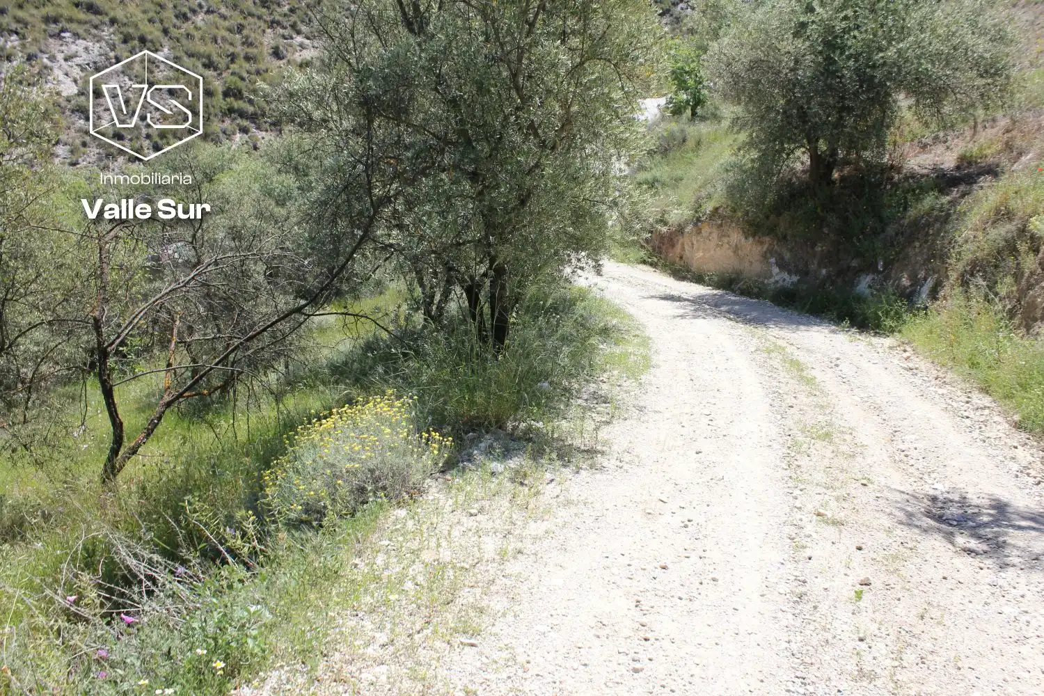 Terreni e lotti in vendita a andalucia, imagen 3