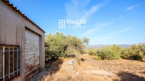 Foto 5 de Finca rústica en venda a Vfp9+769, Xerta, Tarragona