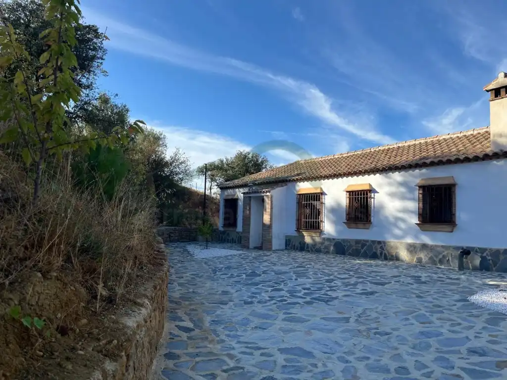 Vista exterior de Finca rústica de lloguer en Ronda