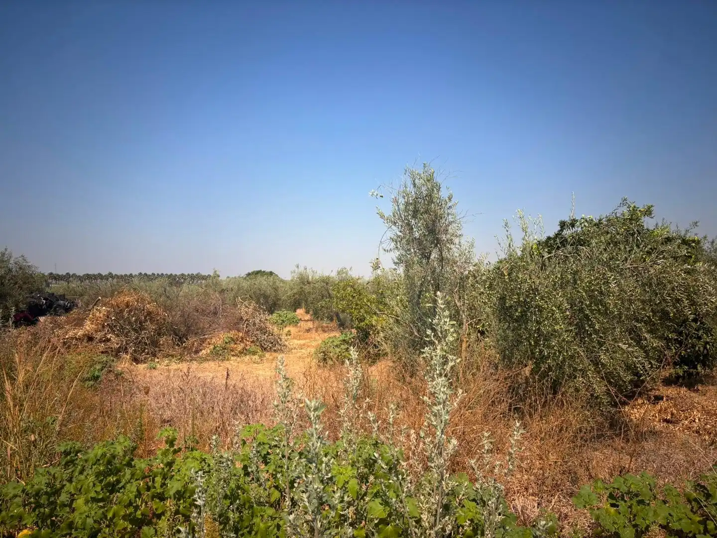 Finca rústica en venda en Huévar del Aljarafe amb Jardí privat, Traster i Piscina