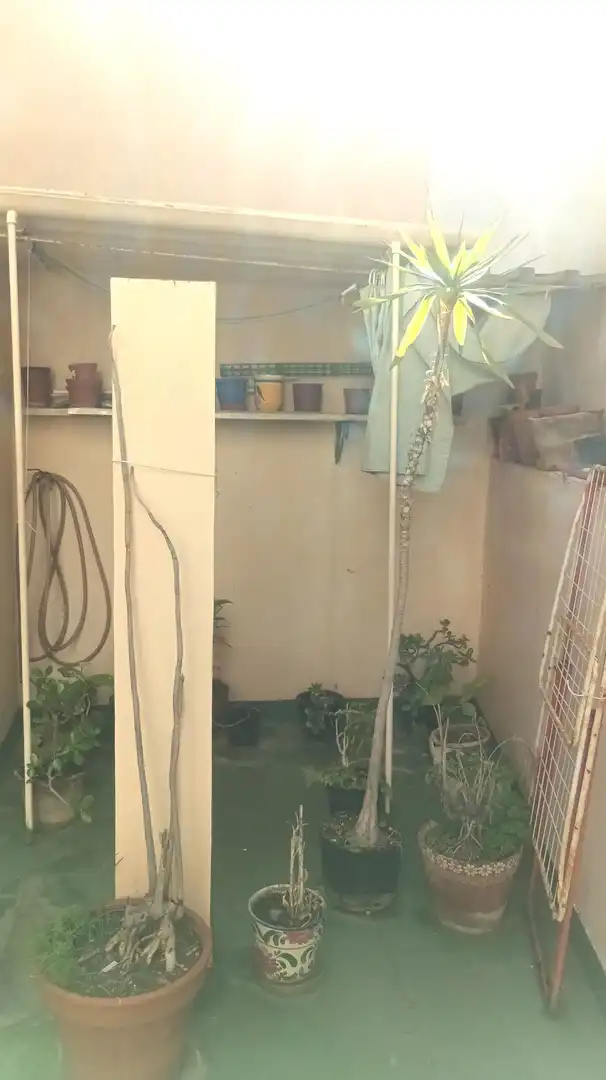 Jardín de Casa o chalet en venta en Santa Cruz de Tenerife con Terraza