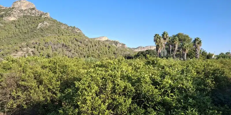 Terrain rustique à vendre à Terrenos MARXUQUERA  ALTA, imagen 32