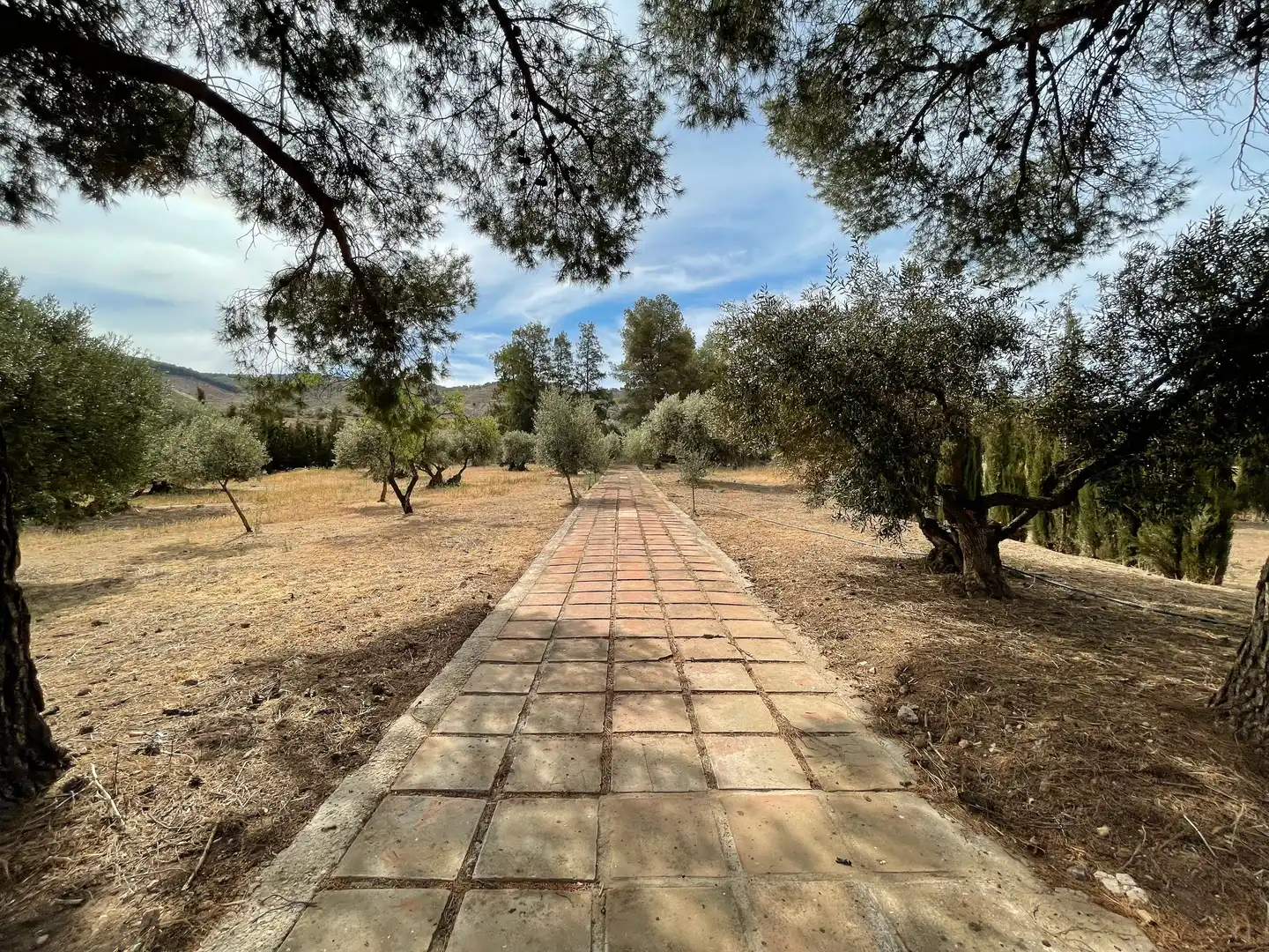 Finca rústica en venta en Antequera con Jardín privado, Piscina y Internet
