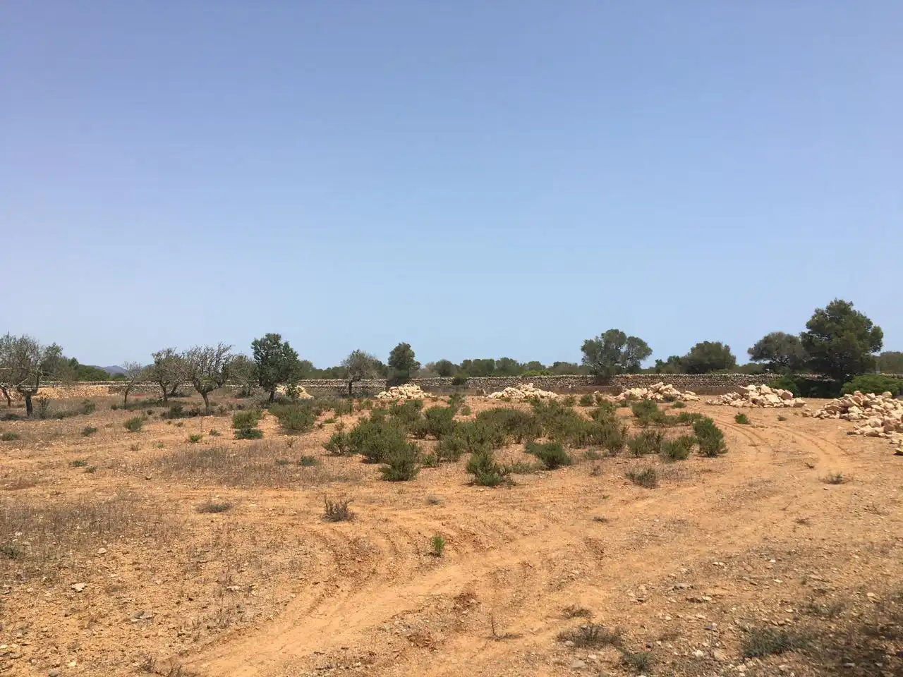 Casa amb piscina en venda a Camí des Pinaret Gran, imagen 9