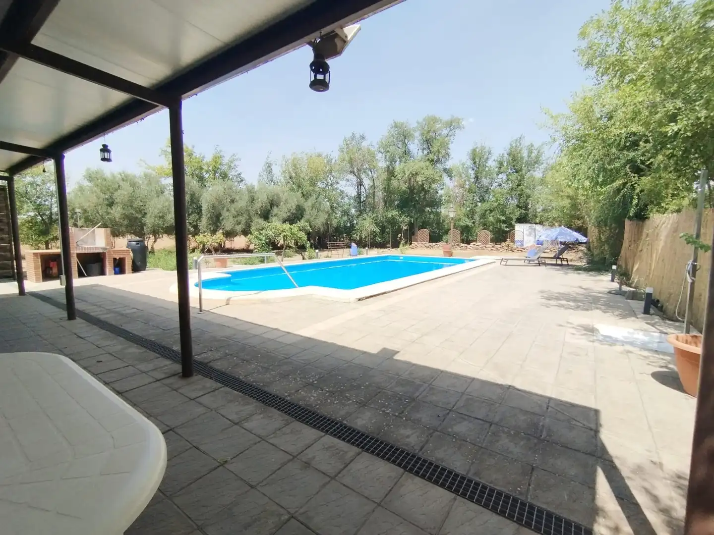 Piscina de Finca rústica en venda en Argamasilla de Alba amb Jardí privat, Piscina i Moblat