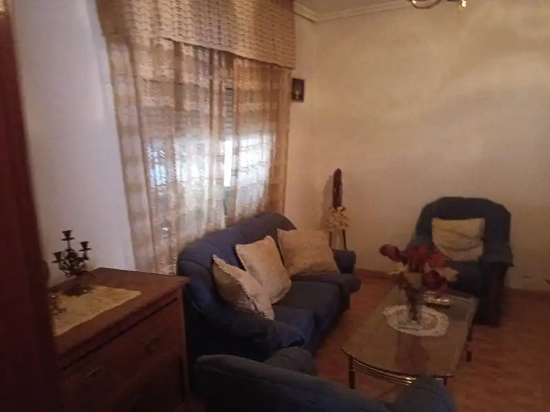 Sala d'estar de Casa o xalet en venda en Puebla de Obando amb Terrassa, Traster i Moblat