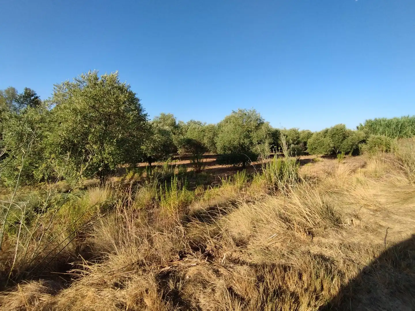 Casa rústica en venda a Puigverd de Lleida