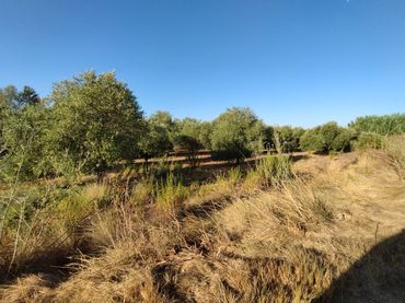 Casa rustica in vendita a Puigverd de Lleida