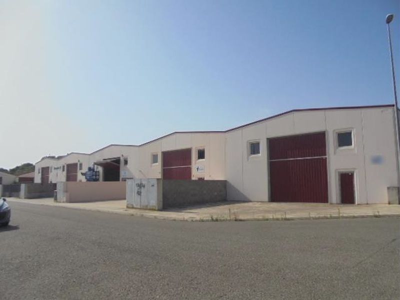 Exterior view of Industrial buildings for sale in L'Espluga de Francolí