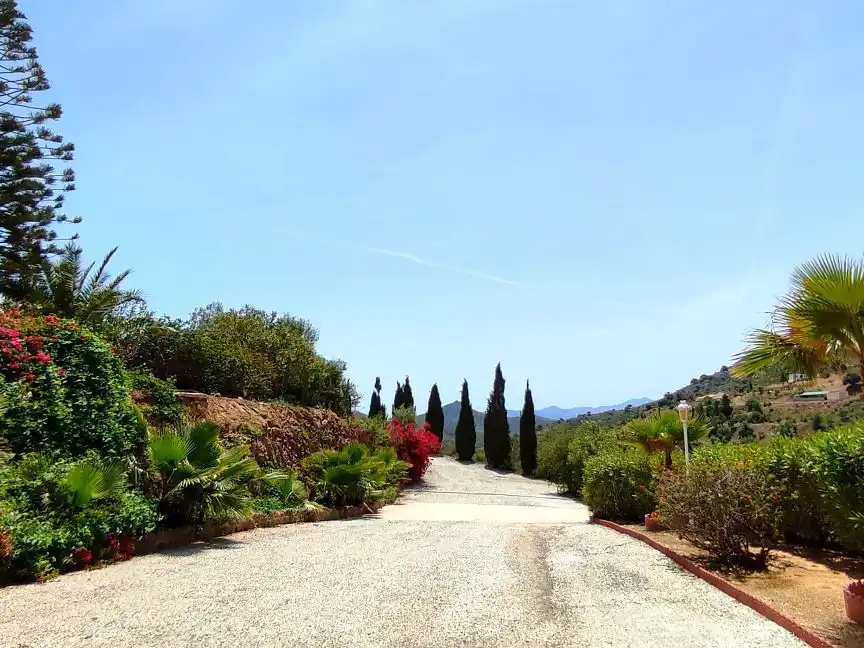 Jardí de Casa o xalet en venda en Almogía, Málaga