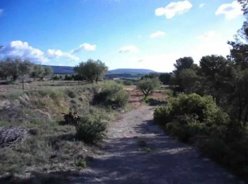 Rustikales Grundstück zum Verkauf in Paraje Casa Vila, imagen 6