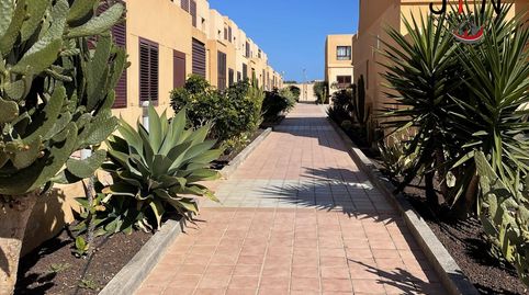 Foto 2 de Planta baja de alquiler en Alc.marcial Sanchez Vqez., 13, Caleta de Fuste, Antigua