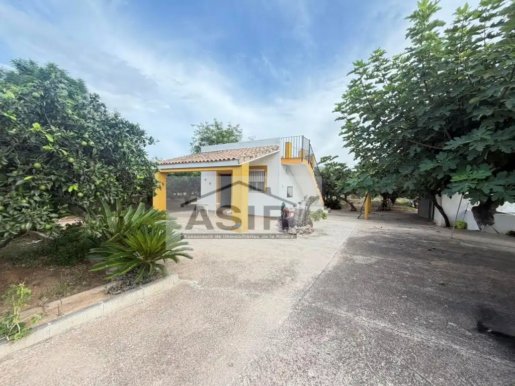 Exterior view of Houses for sale in Benicull de Xúquer