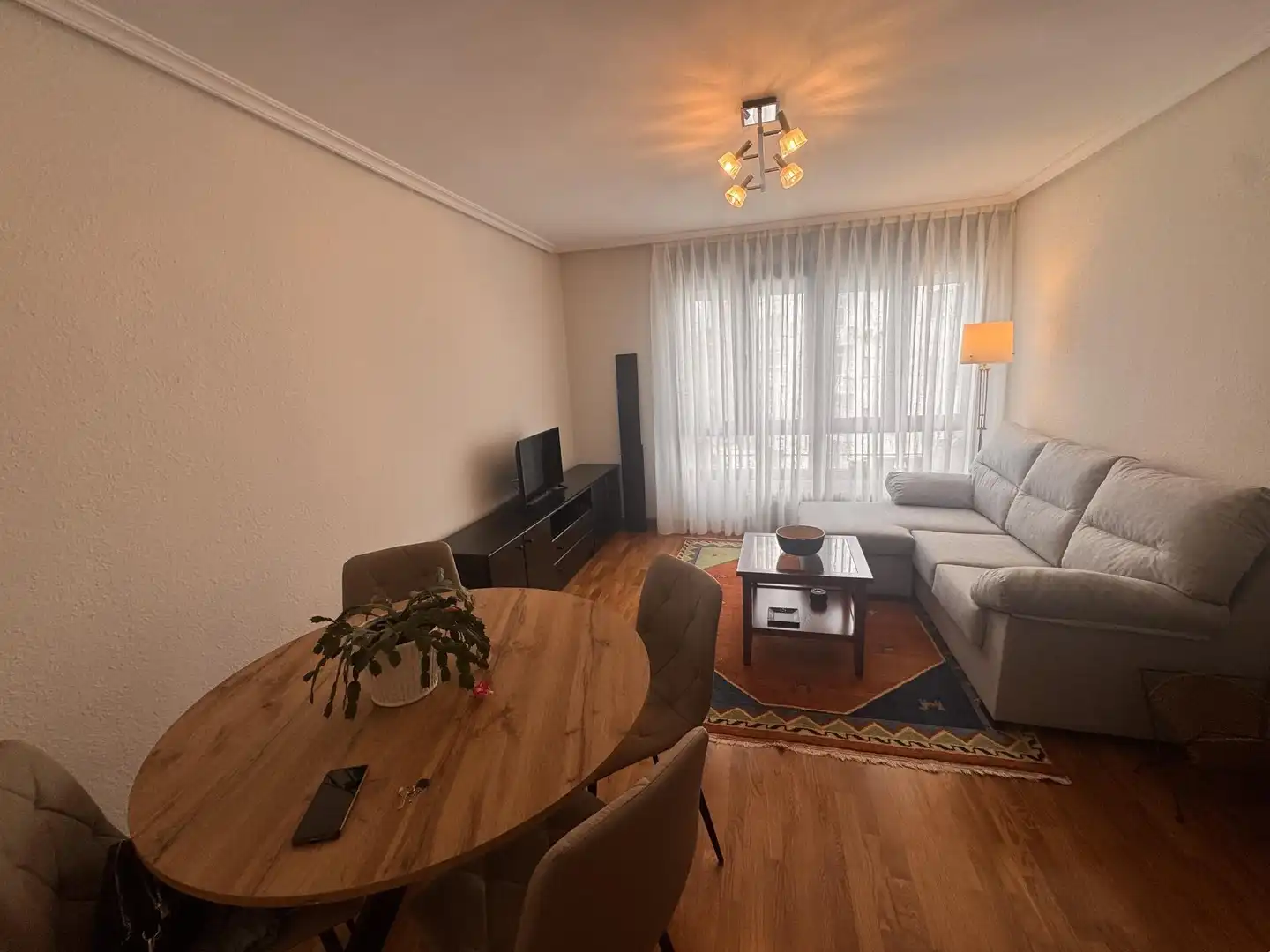 Sala de estar de Piso de alquiler en Oviedo  con Amueblado