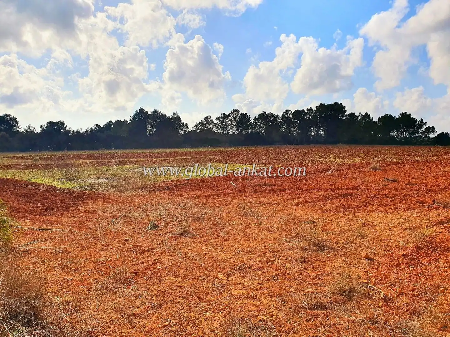 Residential land for sale in Zona Rústica - Interior, imagen 3
