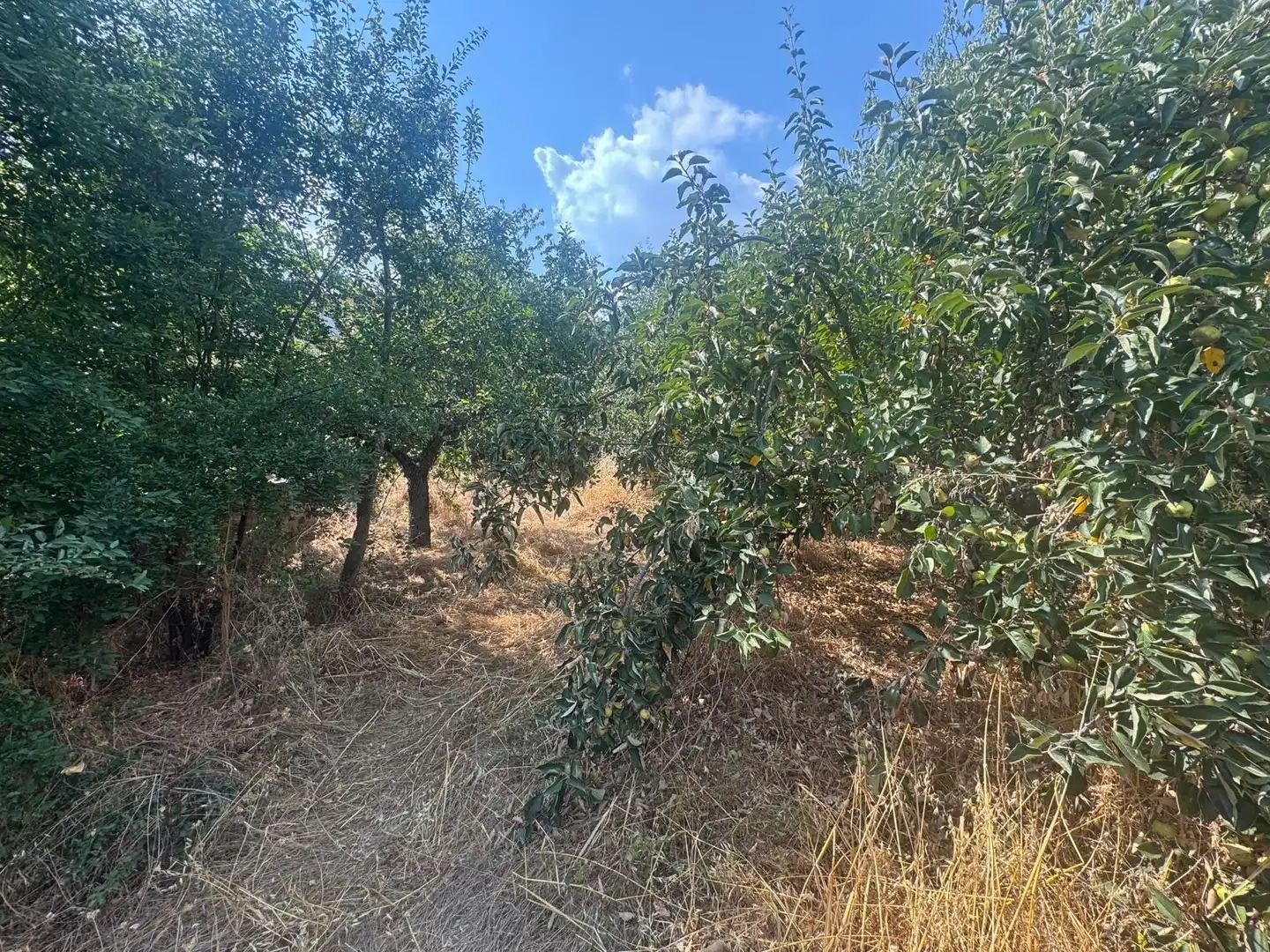 Finca rústica en venta en Congosto con Jardín privado y Terraza