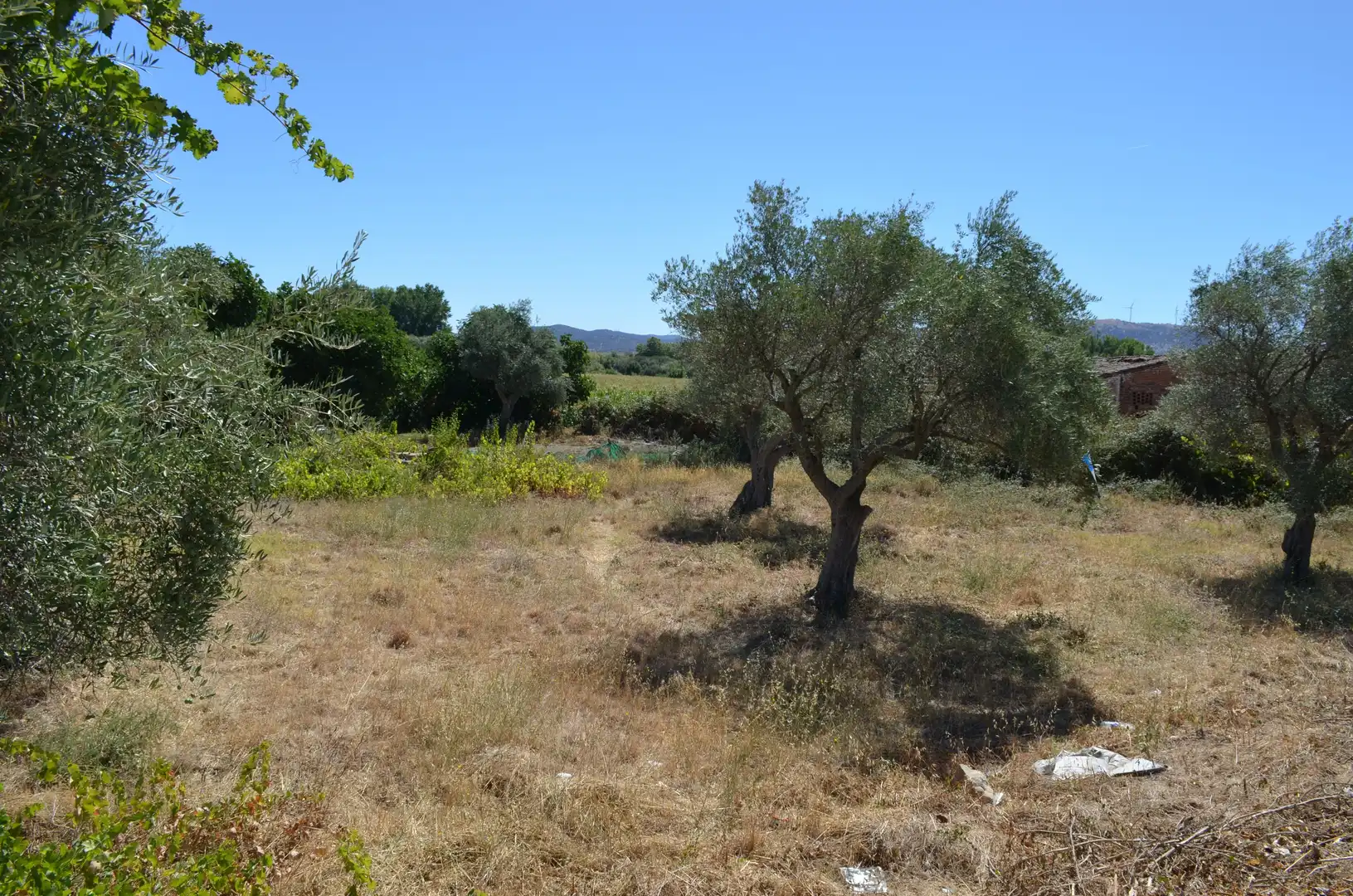 Terreni e lotti in vendita a Carcaboso, imagen 6