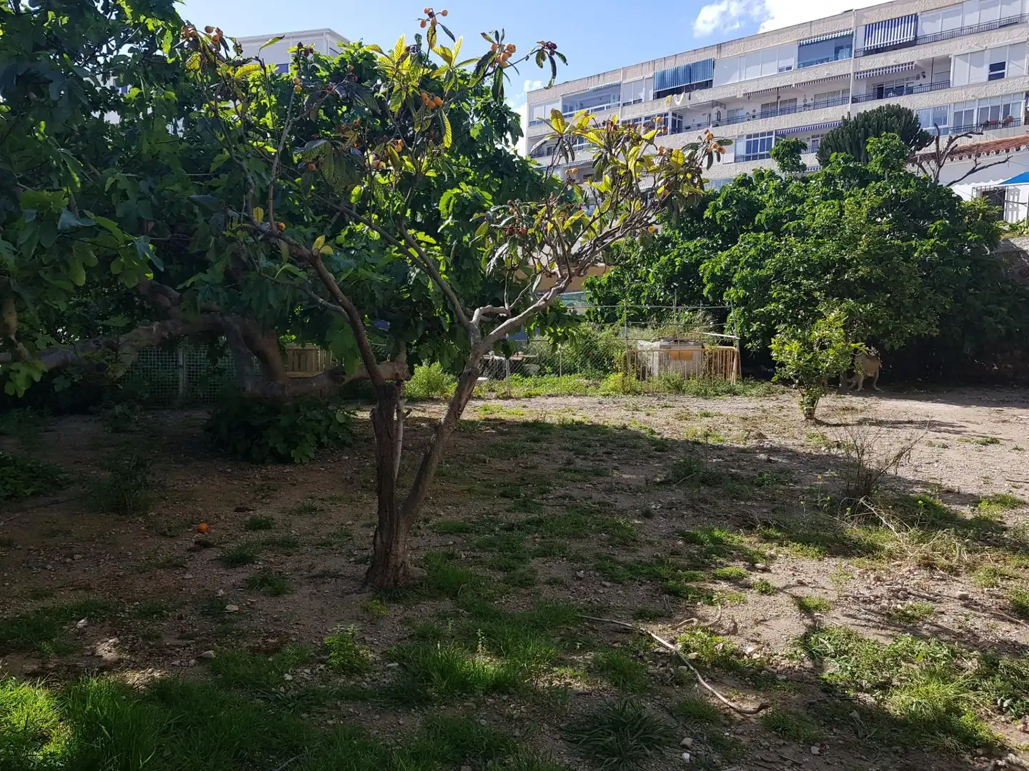 Terrenos y solares en venta en Calle Los Bancales, imagen 5