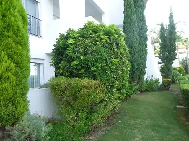 Apartment with pool to rent in Calle la Caleta 3, imagen 8
