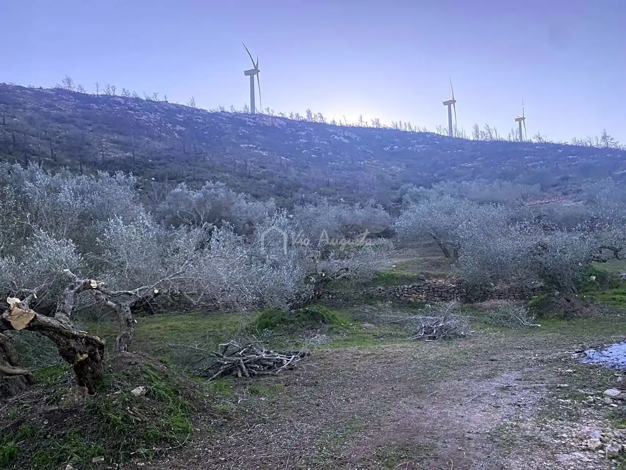 Terreno rustico in vendita a Perchels, imagen 10