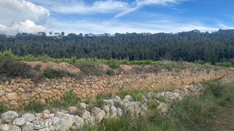 FINCA RUSTICA DE 5 HECTÁREAS EN PERAFORT, immagine 3
